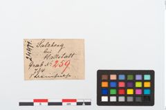 Etikett zu Beinperle (NHMW-PRAE-024471)